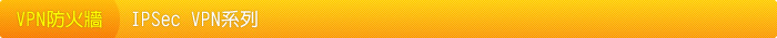 VPN������-IPSec VPN�t�C