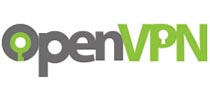OpenVPN�w���q�D�\��