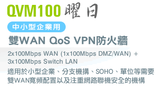 QVM100²���Ϥ�