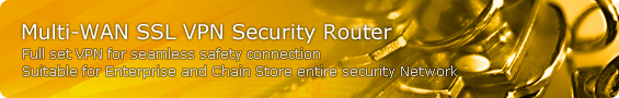 Multi-WAN SSL VPN Security Router